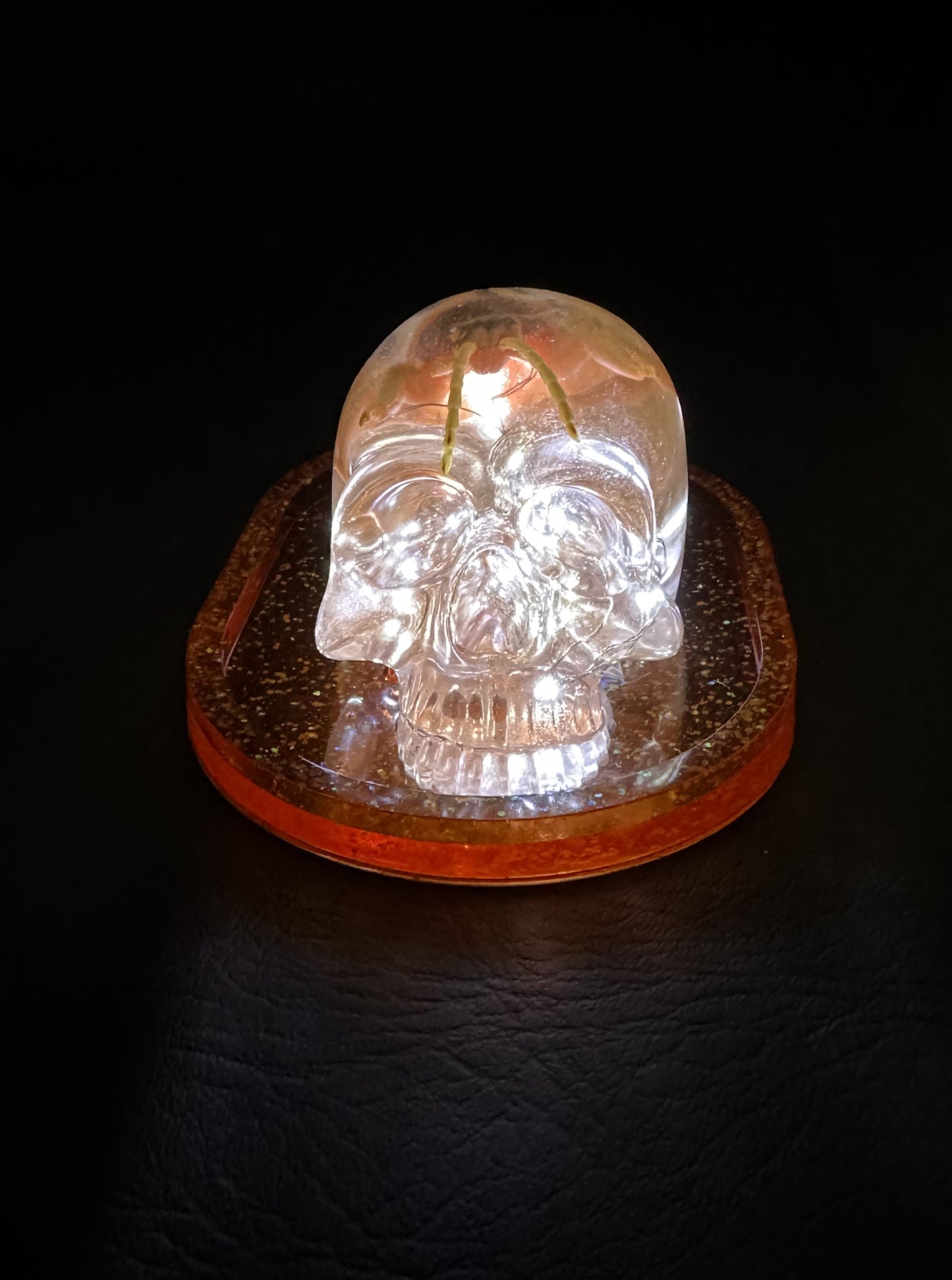 Orange Bug Skull Tray Light Up